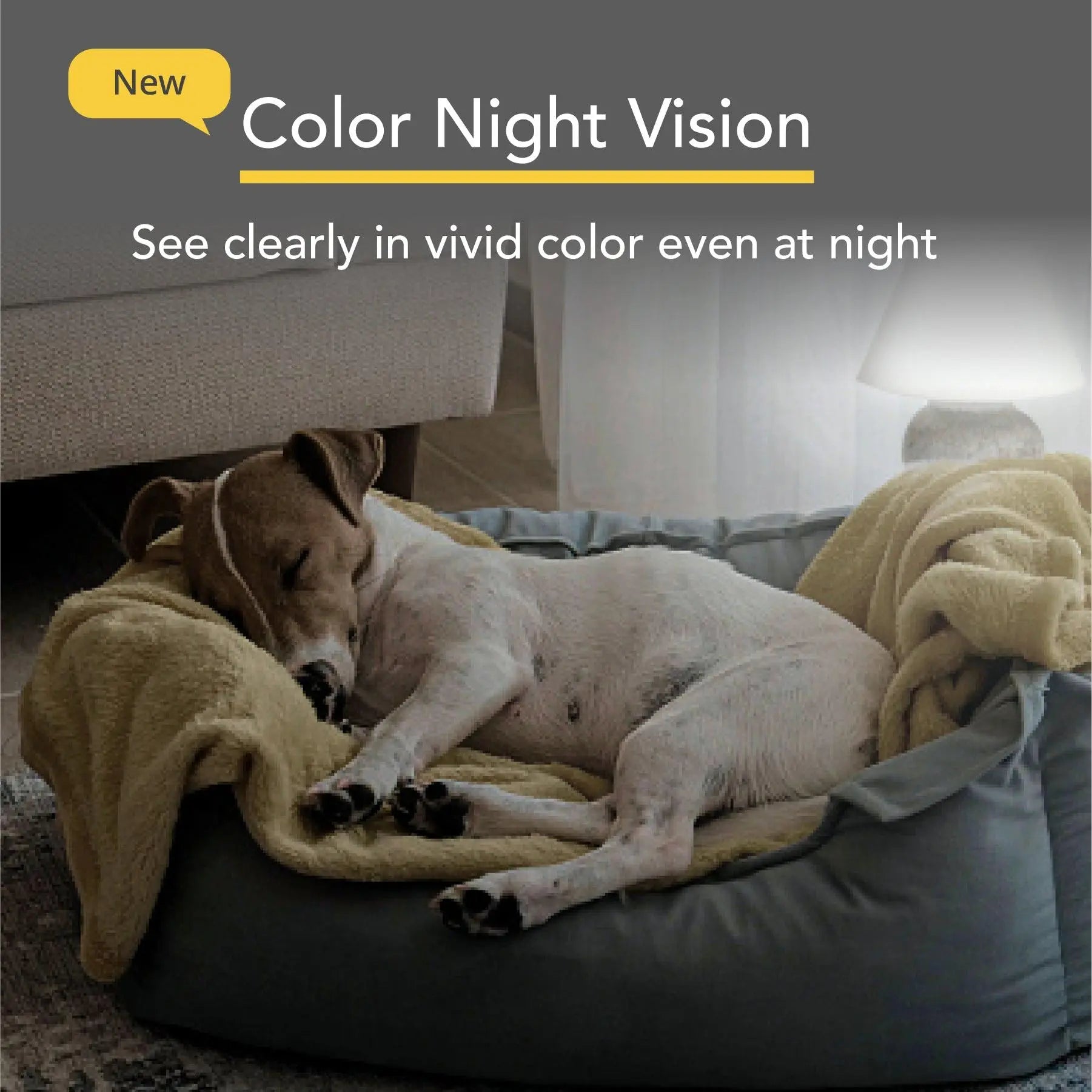 Furbo Mini Camera 
